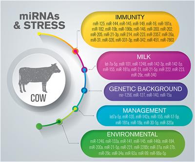 MicroRNAs as Biomarkers for Animal Health and Welfare in Livestock